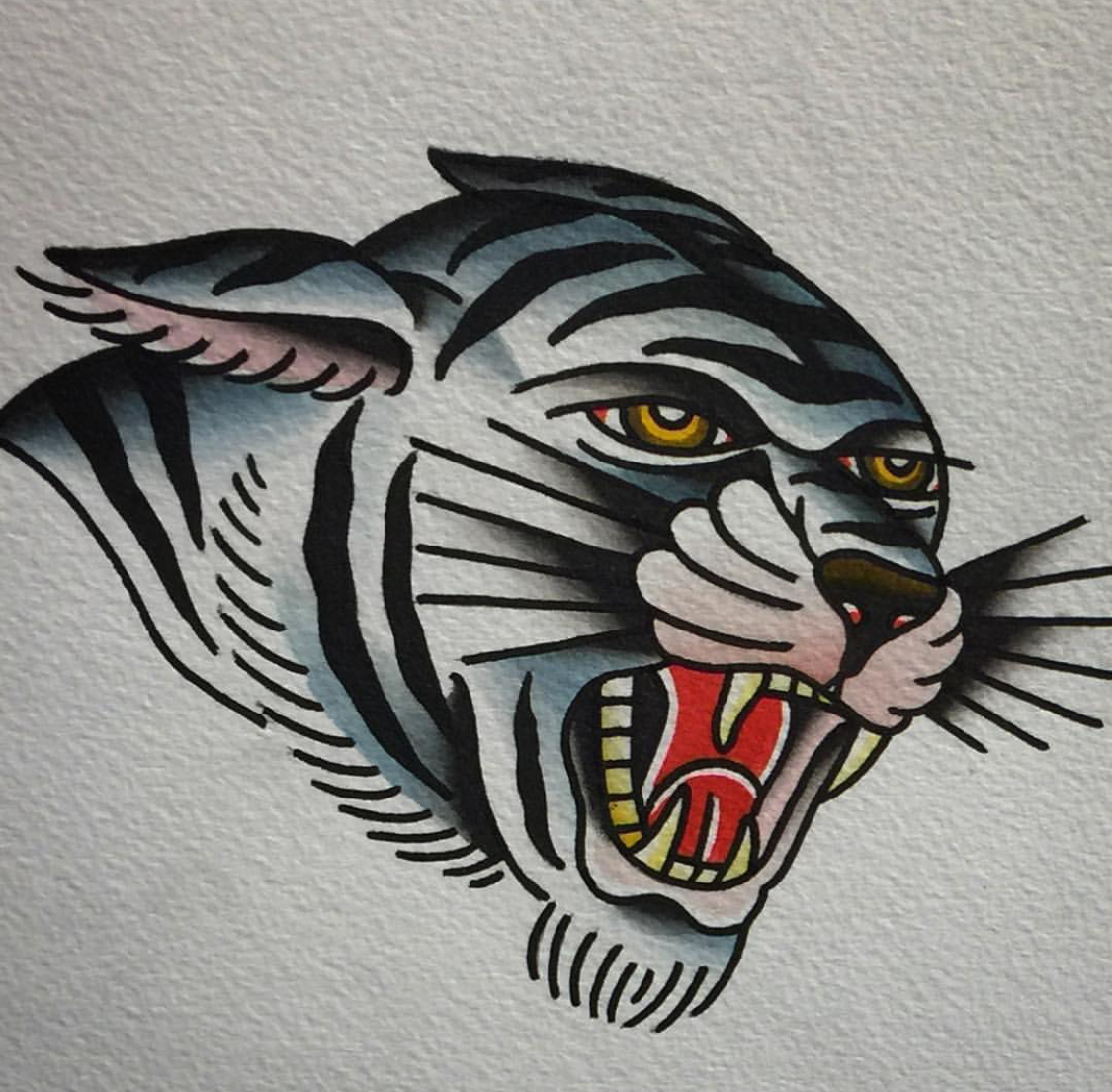 tiger